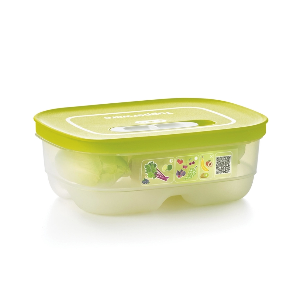 Tupperware FRIDGESMART SMALL